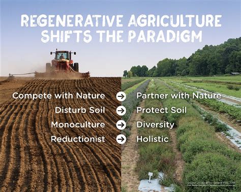  「Regenerative Agriculture」: 壮大な自然再生のビジョンと土壌への深い敬意